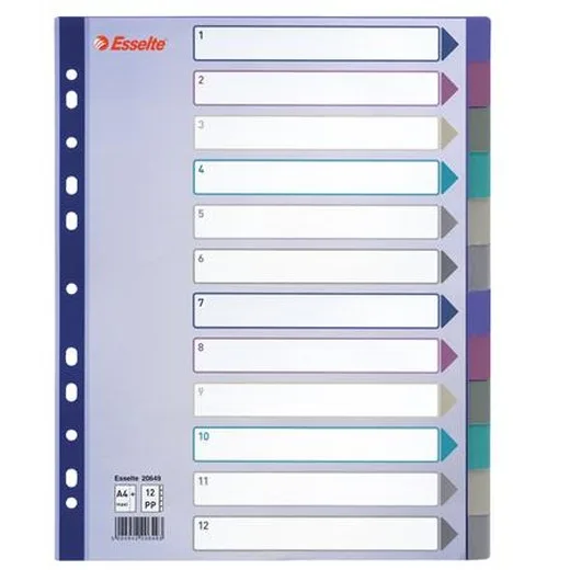 Register, plastový, A4 maxi, 12 častí, ESSELTE, farebný