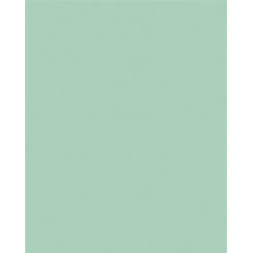 Dekoračný kartón, 2 stranný, 50x70 cm, 220 g, 10 listov, FOLIA, mätovo zelený