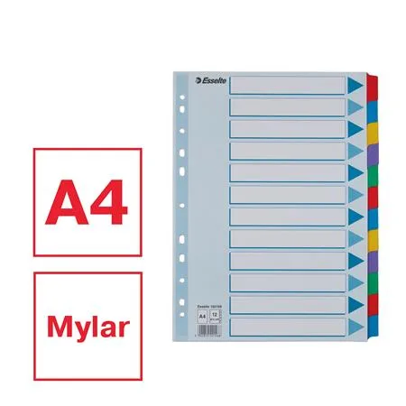 Register, laminovaný kartón, A4, 12 részes, ESSELTE "Mylar", farebný 2