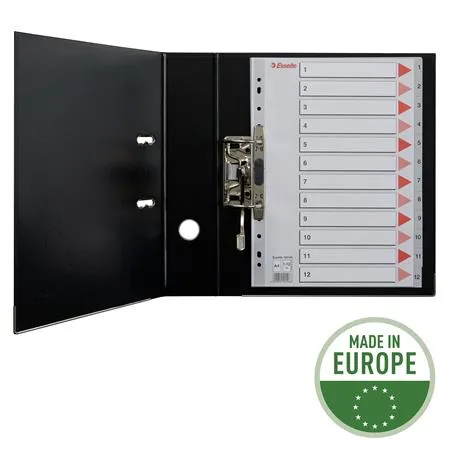 Register, plastový, A4, 1-12, ESSELTE, sivý 3