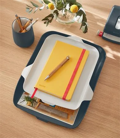 Záznamová kniha, A5, štvorčeková, 80 listov, tvrdá obálka, LEITZ "Cosy Soft Touch", teplá žltá 7