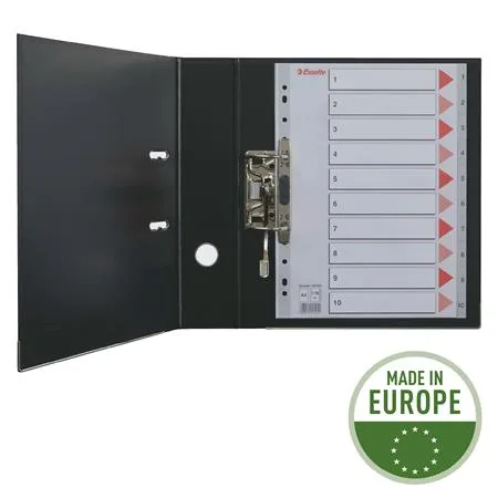 Register, kartónový, A4, 6 dielny, popisovateľná predná strana, ESSELTE "Standard", farebný 3