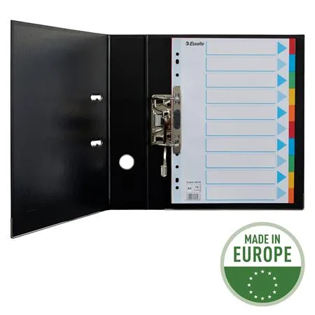 Register, kartónový, A4, 10 dielny, popisovateľná predná strana, ESSELTE "Standard", farebný 3