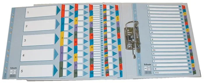 Register, kartón, A4, 1-20, ESSELTE "Mylar" 8