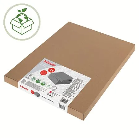 Úložný box, veľ. L, ESSELTE "Home", sivý 4