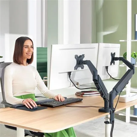 Dvojité priestorovo úsporné rameno na monitory, LEITZ "Ergo Dual", tmavosivá 8