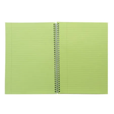 Špirálový zošit, A4, linajkový, 100 listov, PUKKA PAD "Irlen Jotta Green" 3