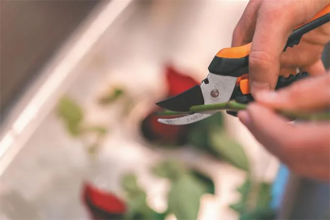 Záhradnícke nožnice, FISKARS "Solid™ SP14" 4