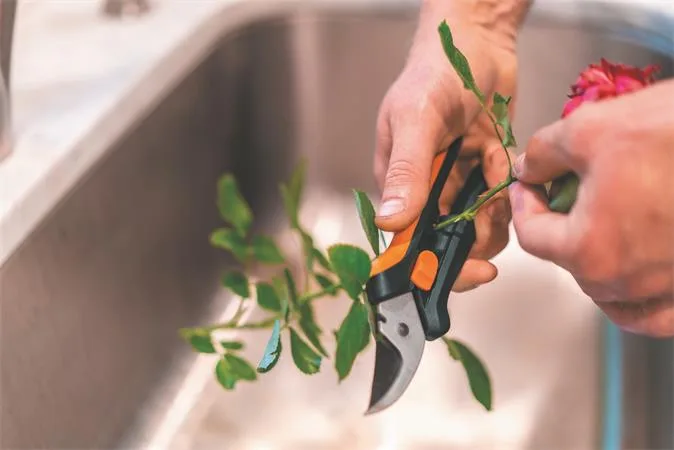 Záhradnícke nožnice, FISKARS "Solid™ SP14" 6
