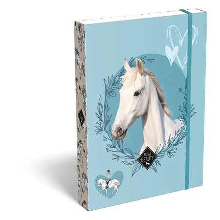 Box na zošity, A5, LIZZYSULI,  "Wild Beauty, Sport Club"