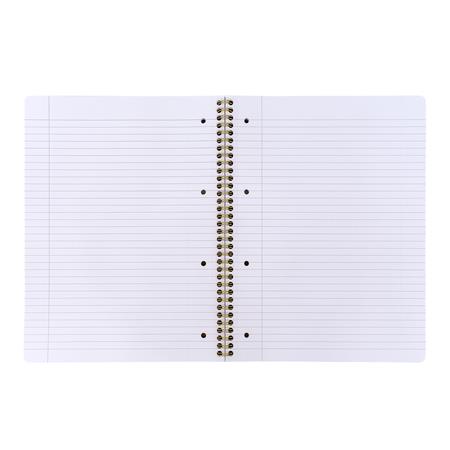 Špirálový zošit, A4+, linajkový, 100 listov, PUKKA PAD "Floral Jotta Notebook", mix 10